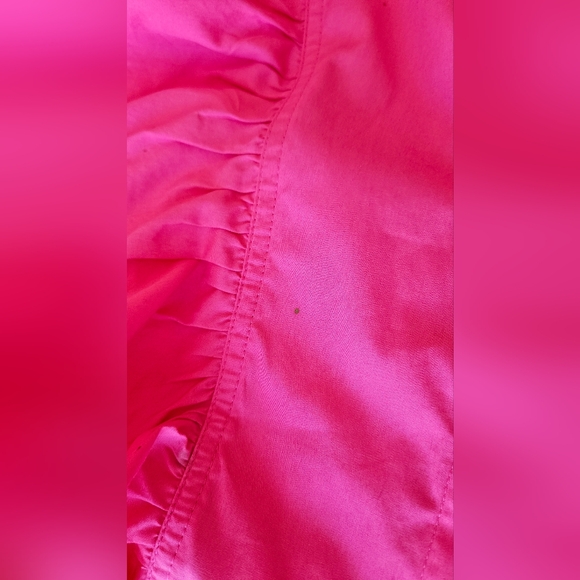 Pink Ruffled Button-Down Dress - Picture 9 of 15